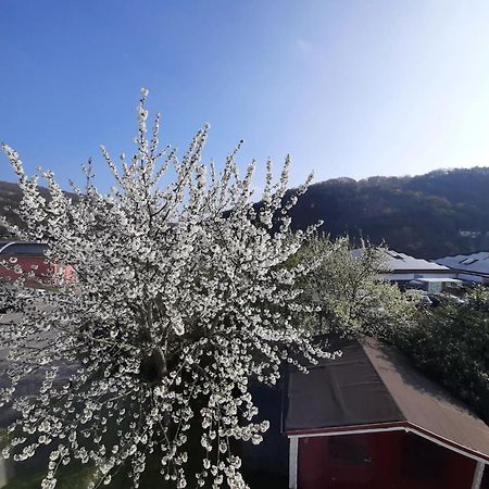Ferienhaus Heimbach Dış mekan fotoğraf